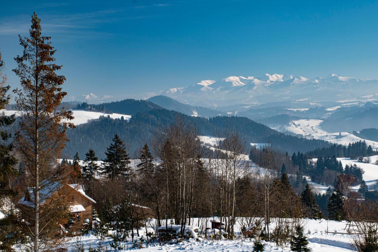 Apartman Jesienka, Hillside Dolny Kubin Exterior photo